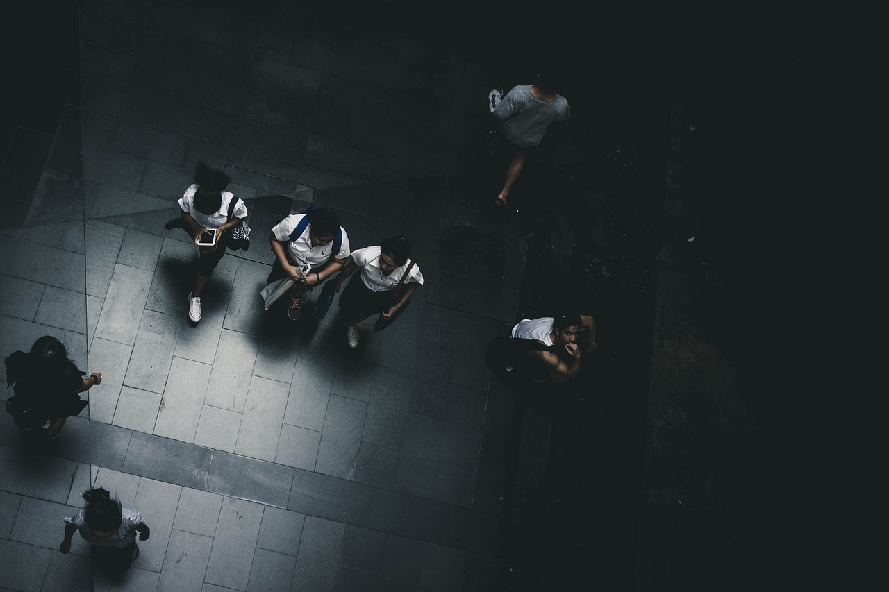 Sustainability in Schools - What's the Role?
